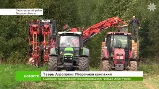 Тверь Агропром: Уборочная кампания