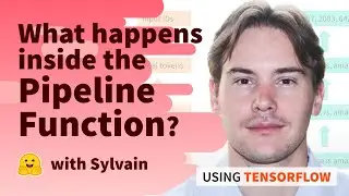 What happens inside the pipeline function? (TensorFlow)