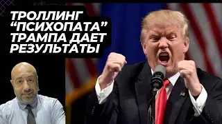 Как Демократы бесят Трампа в 2024