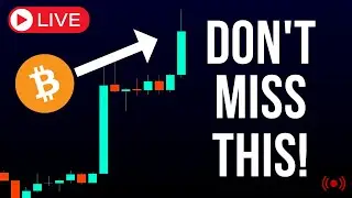 BTC Bull Run UPDATE: Are We Ready To Finally Pump ?!?  BTC & Altcoin Market Health Check