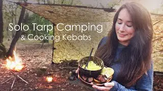 Solo Wild Camping 🔥 Adirondack Tarp Shelter & Cooking Kebabs on Fire