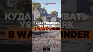 Куда пробивать Ystervark в War Thunder? #warthunder #вартандер #tanks #танки #gaijin