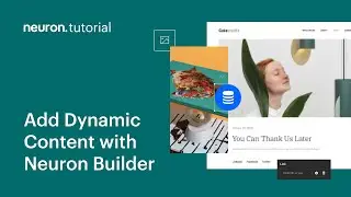 How to Add Dynamic Content in WordPress with Neuron Builder
