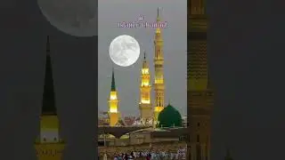 حضرت علی نے پانچ باتیں فرمائیں