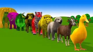 Paint & Animals Duck,Tiger,Dog,Hippo,T-rex,Lion,Cat Fountain Crossing Transformation Animal Cartoon