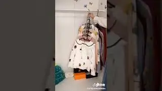 Multiple hanger organiser