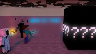 herobrine & entity 303 and null vs ???