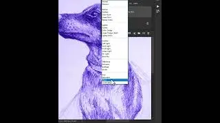 How to turn pencil sketch into pen sketch in Photoshop