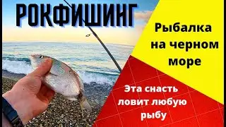 Как ловить на черном море? ЭТА СНАСТЬ ЛОВИТ ЛЮБУЮ РЫБУ! Спиннинг для начинающих. Морская рыбалка.