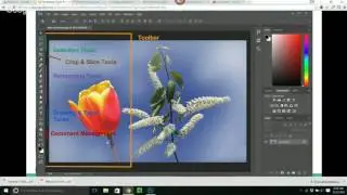 Photoshop Webinar: Overview of Photoshop Tools