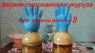 ФЕРМЕНТИРОВАННАЯ КУКУРУЗА для рыбалки на КАРПА САЗАНА АМУРА