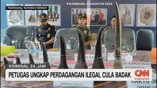 Petugas Ungkap Perdagangan Ilegal Cula Badak