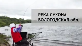 Рыбалка на реке Сухона. Вологодская обл.