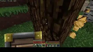 Swole FishLass plays Minecraft Part 2