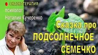 Терапевтическая сказка про семечко. Наталья Кучеренко