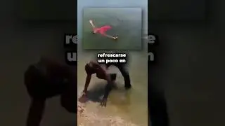 El susto de su vida a un policía en la India al sacar a un señor del lago ☠️🤔 