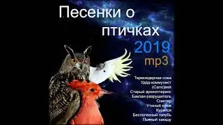 Chlovechig - Баклан-разрушитель