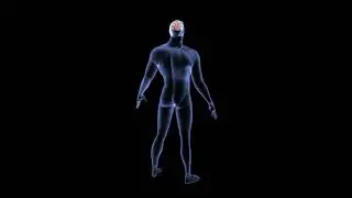 Human Brain X-Ray Scan Effect 3D Rotate Animation on Black Screen Video Free Footage