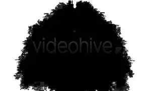 3D Tree Growing 1 | After Effects Template 66780