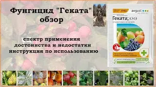 Фунгицид Геката - новое средство от болезней плодовых деревьев, ягодных кустарников и винограда