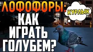 GTA 5 - Как Играть За Голубя? [ЛОФОФОРЫ] #5