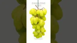 Grapes to Raisins - 40 Days Time lapse