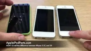 HOW TO tell the difference between iPhone 5 5C and 5S