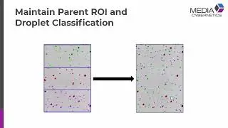 Counting & Classification (Advanced) with Count By ROI in Image-Pro