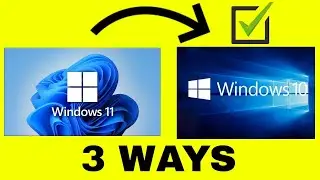 3 Ways to Downgrade from Windows 11 to Windows 10 (NEW)