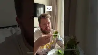 Котик хочет роллы 😅 