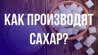 Из чего на самом деле делают сахар? ШОК!