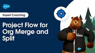 Project Flow for Org Merge and Split | Expert Coaching