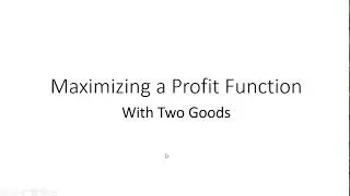 Profit Maximization with Two Goods in Profit Function