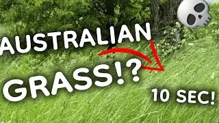 10 SEC GEOSUESSR SPEEDRUN BY A COMPLETE IDIOT