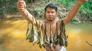 Catching Frogs and Fried Frogs Recipe In The Forest