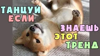 🙃 Танцуй если знаешь этот тренд 🙂  - Tik Tok 💦☁️