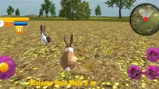 Rabbit Family Simulator #1