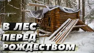 Морозный лес. Прогулялись до сруба | ЛЕСНОЙ ДОМ | ИЗБА | FOREST HOUSE | DUGOUT | HUT