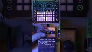 I put a beat through an octaver so you dont have to [Novation Circuit vs BOSS OC-3] #shorts