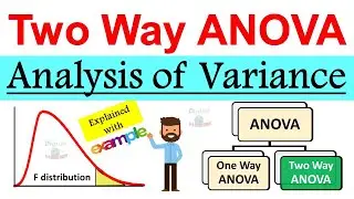 Two way ANOVA (Analysis of Variance) in Statistics | Explained with Examples | Two way Anova