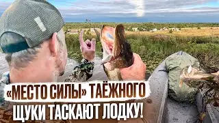 ЩУКИ ТАСКАЮТ КАЯК ПО РЕКЕ // "МЕСТО СИЛЫ" ТАЕЖНОГО // ТРОЛЛИНГ НА ВЕСЛАХ