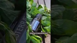 Эфирное масло мяты перечной DoTerra