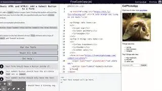Learn Basic HTML and HTML5: Add a Submit Button to a Form | freeCodeCamp.org 20