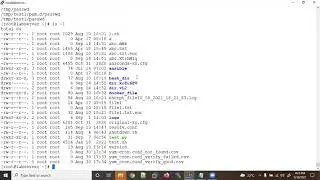 day12 | find cmd in Linux