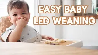 WHAT MY 10 MONTH OLD EATS IN A DAY | Super Easy Baby Led Weaning Meal Ideas