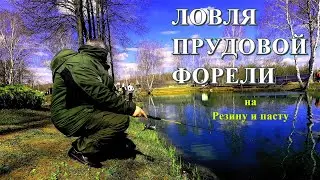 Ловля ФОРЕЛИ на Резину и Пасту. Вот это поклевка форели на спиннинг.