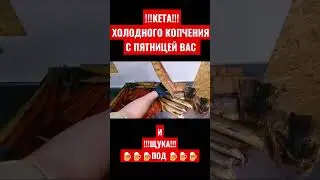 КЕТА И ЩУКА ХОЛОДНОГО КОПЧЕНИЯ, КОПЧУ САМ, СПАСИБО ЗА ПОДДЕРЖКУ 🤝😊