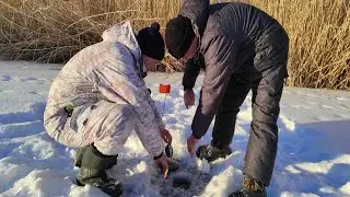 ВОТ ЭТО РАЗМЕР ! ПРИШЛОСЬ ВЫТАСКИВАТЬ ВДВОЕМ! Откуда она тут?! Рыбалка на жерлицы!