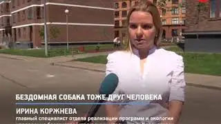 Собака Дуся - друг человека!