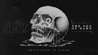 Spite - The Son of Dawn (Visualizer)